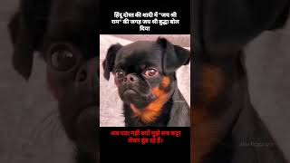 भारी मिस्टेक हो गया साहब।          #boudhh #funny #funnyvideo #funnyshorts