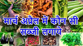 मार्च अप्रैल में कौन सी सब्जी लगाये | March April Me Konsi Sabji Lagaye | March April Vegetable