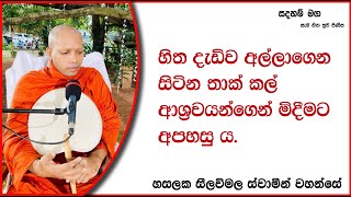 සිත දැඩිව අල්ලාගෙන සිටින තාක්කල් ආශ්‍රවයන්ගෙන් මිදීමට අපහසු ය.Ven Hasalaka Seelawimala Thero