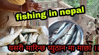 fishing in nepal //cast_net fishing//fishing Pyuthan village//प्युठान को अर्गानिक माछा//