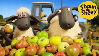 Shaun the Sheep 🐑 Apple Pie? - Cartoons for Kids 🐑  Episodes Compilation [1 hour