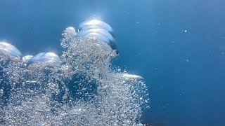 @trinamason films underwater in 4K on iPhone 12 August 10 2024 3:45pm Molasses Key Largo Florida