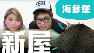 『 唔要麻布媽媽買既新屋？ 』Kanga Vlog #2 - 紙箱小屋 [ KZee \u0026 麻布 ]