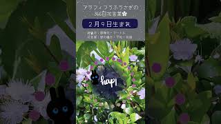 アラフィフうふうさぎ366日花言葉🌻自分へ、大切な人へのプレゼント選びの参考に🌷#花言葉 #誕生花 #誕生花＃今日のメッセージ #今日の運勢