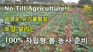 No-Till - 토양 살리는 무경운 유기물멀칭 봄 농사준비