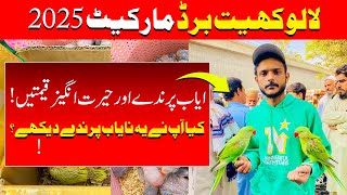 Lalukhet Birds Market 2025 | Rare and Unique Birds in Karachi | Sunday Bird Market