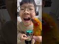 the most interesting tooth extraction method with the help of a parrot 🦜