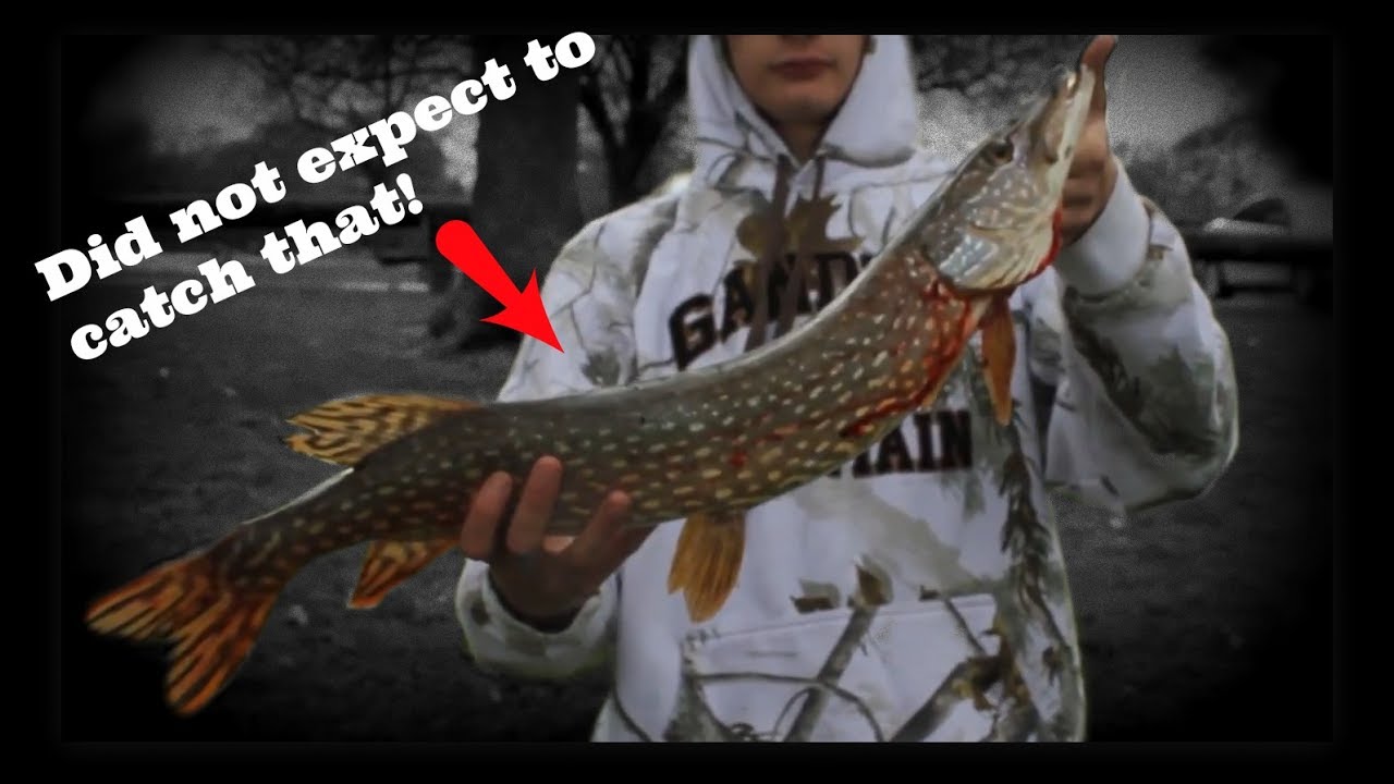 Kankakee River Fishing - YouTube