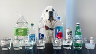 DOG TESTS WATER: TAP, FIJI, SPARKLING, THICK?! - Super Cooper Sunday 339