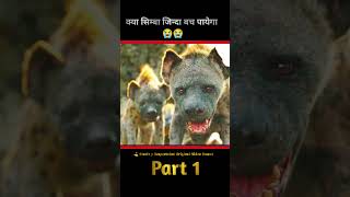 क्या शेर का बच्चा बच पाएगा #facts #movieexplainedinhindi #shorts #viralshorts #movie