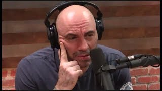 Joe Rogan SHOCKED By Mistreatment of Whales "They're Slaves!"