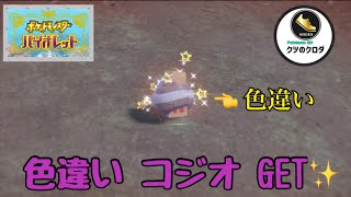 【ポケモンSV】Shiny Nacli GET✨  Nacli → Naclstack → Garganacl Evolve 🔥