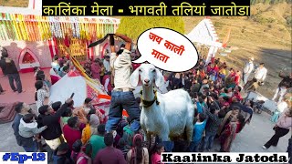 बकरे की बलि ऐसे दी जाती है उत्तराखंड की पूजा में🥺Kaalinka Jatoda | Budakot | भगवति तलिया मेला😍