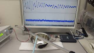 超音波発振制御プローブの超音波伝搬特性テスト－－設置条件・・・による超音波振動の変化－－超音波による検査技術の基礎実験ーー（超音波システム研究所）