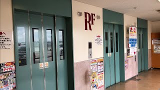 【愛知県 豊明市】MEGAドン・キホーテUNY豊明店 エレベーターに乗ってみた！（三菱製／RF→1F）