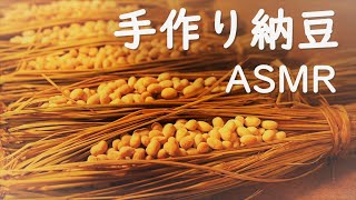 わら納豆の作り方【ASMR】大豆と藁だけで簡単♪手作り納豆に初挑戦♪How to make Japanese food natto＊