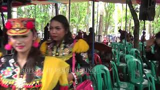 BANGILUN, JALAN MARI JALAN - DOLALAK RARAS BUDAYA