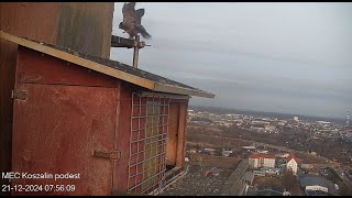 Koszalin 21 12 2024 1 ~ Nila w nocy przyleciała, rano odleciała