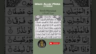 Sura Mursalaat| سُوْرَۃُ | translation| #wahidallahmayra #quran #surah #viralvideo #shortvideo
