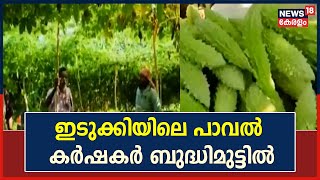 Kerala News | ഇടുക്കി ഹൈ റേഞ്ചിലെ പാവൽ കർഷകർ ബുദ്ധിമുട്ടിൽ | Idukki | Malayalam News