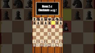 ඇදීම් වාර 2න් චෙක්මේට් කරමු | Checkmate Only 2 Moves Sinhala Lesson | Chess for Beginners #shorts