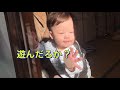 【生後10ヶ月】窓越しにやばい赤ちゃんおった。笑