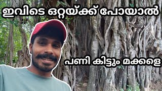 ഇവിടെ ഒറ്റയ്ക്ക് പോയാൽ പണി കിട്ടും മക്കളെ.. #dilipzzvlogs