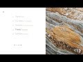 Minimal Navigation | HTML, CSS & JQUERY (GREENSOCK)