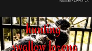 Playtube Pk Ultimate Video Sharing Website