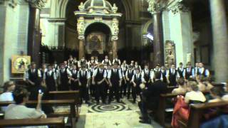 Choir Report: Musica Sacra a Roma 2011 - Hoërskool Jeugland Boys Choir (ZA)