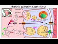 Drugs for Thyroid Disorders