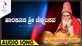 ಹಾರಕೂಡ ಶ್ರೀಚೆನ್ನ ಬಸವ I Harakooda Sri Chenna Basava I Sri Chennabasaveshwara Darshana