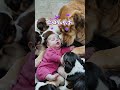 知识迎新年 年味早点办 和你一起过冬日 萌萌哒 baby funny