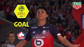 Goal Luiz ARAUJO (53') / LOSC - Angers SCO (2-1) (LOSC-SCO) / 2019-20