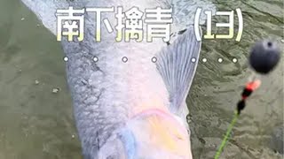 剥隘河的大青又开始暴躁起来了原来钓鱼才是抖音运动顶流 野钓巨物 2024dou来钓鱼 野钓惊喜无处不在 dou是钓鱼人