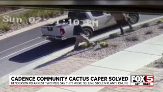 Henderson cops corral cactus crooks
