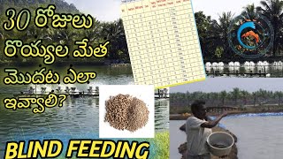 వనామి రొయ్యల మేత, Vanami feed in 30 days, blind feeding,@ vanami culture