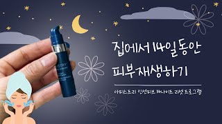 👍 피부재생 주기 14일 기적 암웨이 아티스트리 인텐시브 14나이트 리셋 프로그램