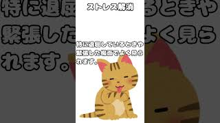 ニャンちゃんが爪を研ぐ理由-雑学5選 #豆知識 #雑学 #猫 #ねこ #にゃんこ #爪研ぎ #爪とぎ #ショート #fypシ゚  #shorts #猫好きさんと繋がりたい