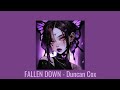 FALLEN DOWN - Duncan Cox