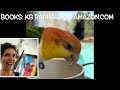 Алтан конур Заавал мэдэх 3 зүйл goldenconure тоть_аз жаргал