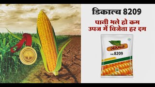 DEKALB 8209: Best Hybrid Corn Seed for Rainfed Farming for Rajasthan (Hindi) | Bayer