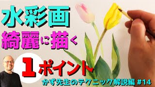 【初心者必見】水彩画を綺麗に描くためのたった1つのポイント【誰でも簡単】