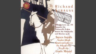 Don Quixote, Op. 35: Variation 4