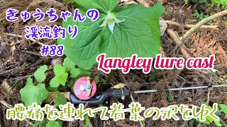 きゅうちゃんの渓流釣り #88 [HD]【Langley Lure Cast】【PW Glasso】【若葉色の季節🔰】【渓流ダイレクト初心者🔰】【2023年4月28日】