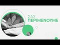 green week 2023 Ενώνουμε τους Δήμους Λεμεσού για ένα πράσινο μέλλον