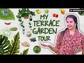 My Terrace Garden Tour 😍 || Organic Garden 🌿 || Sanjana Galrani Official