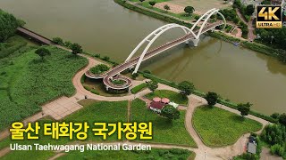 Ulsan Taehwagang National Garden