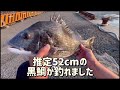 初心者でも簡単に大物を釣りまくる、この釣りが凄い！！