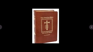 New American Bible (St Joseph's Edition) vs King James Version (Thomas Nelson) #bible #review